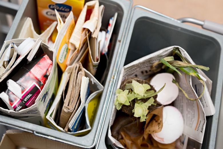 Sorted biowaste and carton in a household waste container.